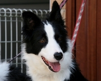 2013041509381865e.jpg
